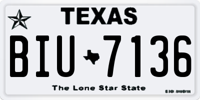 TX license plate BIU7136