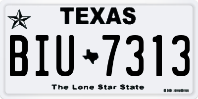 TX license plate BIU7313