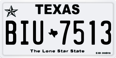 TX license plate BIU7513