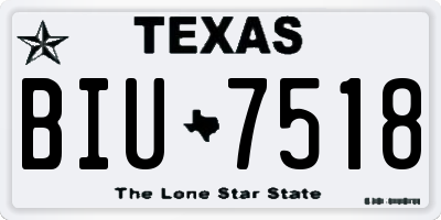 TX license plate BIU7518