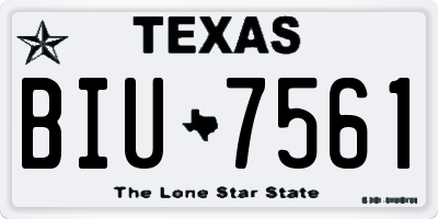 TX license plate BIU7561