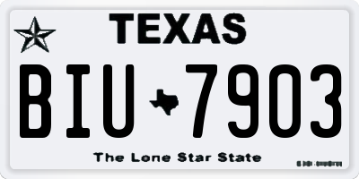 TX license plate BIU7903