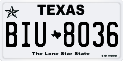 TX license plate BIU8036