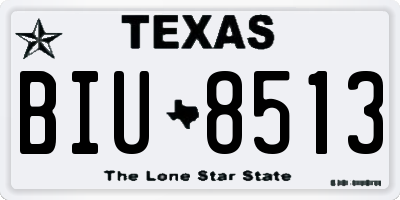 TX license plate BIU8513