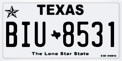 TX license plate BIU8531