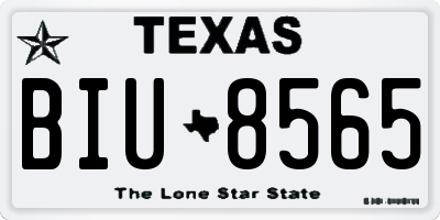 TX license plate BIU8565