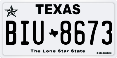 TX license plate BIU8673