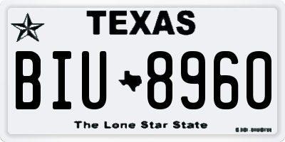 TX license plate BIU8960