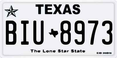 TX license plate BIU8973