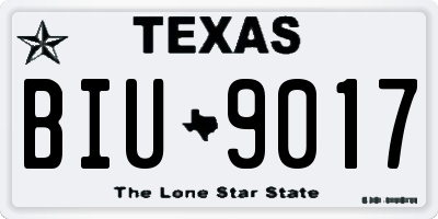 TX license plate BIU9017