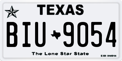 TX license plate BIU9054