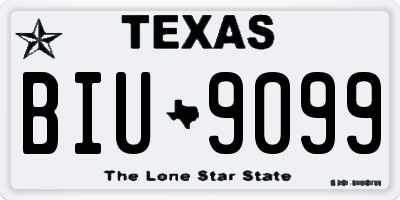 TX license plate BIU9099