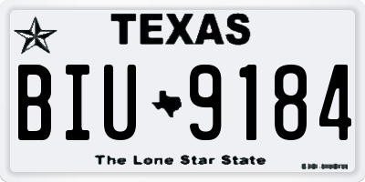 TX license plate BIU9184