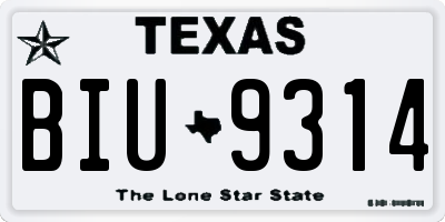TX license plate BIU9314