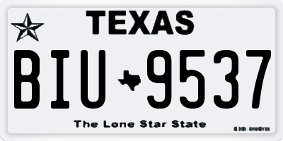 TX license plate BIU9537