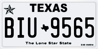 TX license plate BIU9565