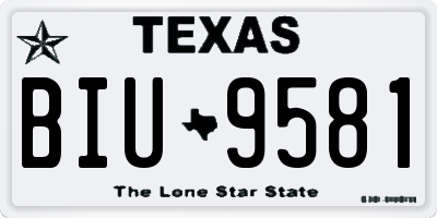 TX license plate BIU9581