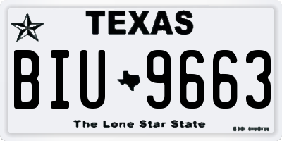 TX license plate BIU9663