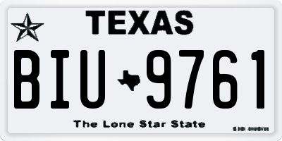 TX license plate BIU9761