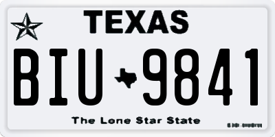 TX license plate BIU9841