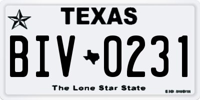 TX license plate BIV0231