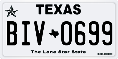 TX license plate BIV0699