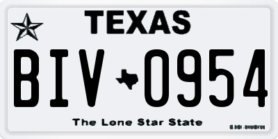 TX license plate BIV0954