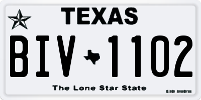TX license plate BIV1102
