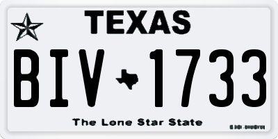 TX license plate BIV1733