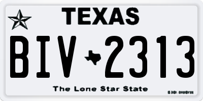 TX license plate BIV2313