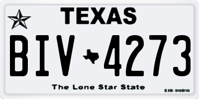 TX license plate BIV4273