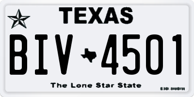 TX license plate BIV4501