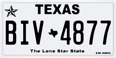 TX license plate BIV4877