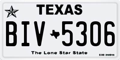 TX license plate BIV5306