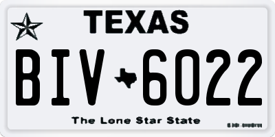 TX license plate BIV6022