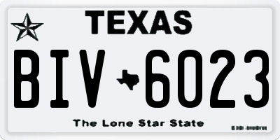 TX license plate BIV6023