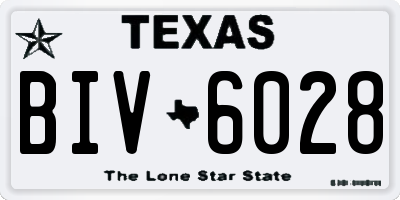 TX license plate BIV6028