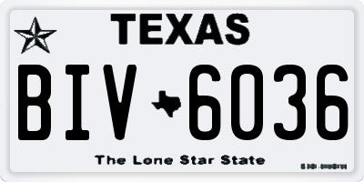 TX license plate BIV6036