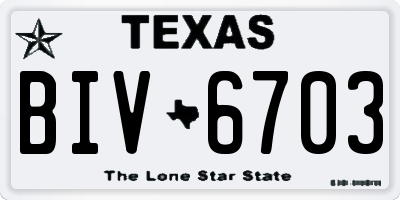 TX license plate BIV6703