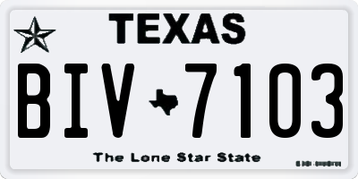 TX license plate BIV7103