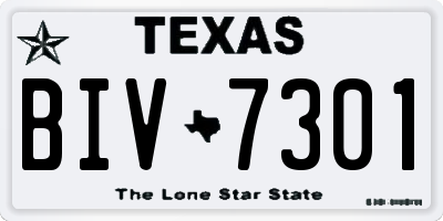 TX license plate BIV7301