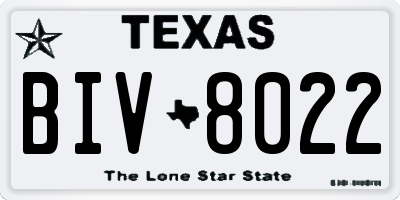 TX license plate BIV8022