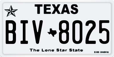 TX license plate BIV8025