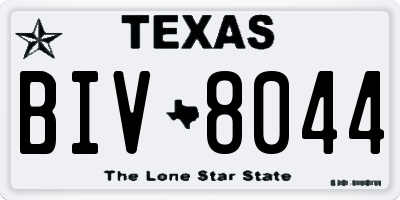 TX license plate BIV8044