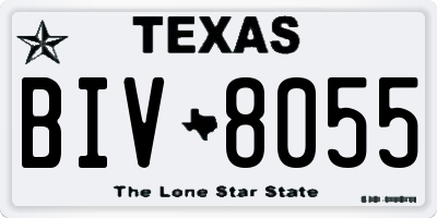 TX license plate BIV8055