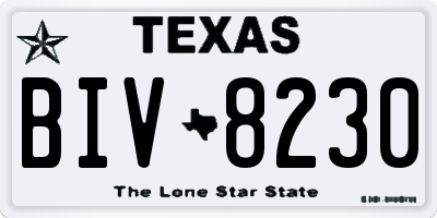 TX license plate BIV8230