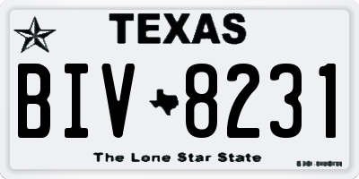 TX license plate BIV8231