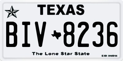 TX license plate BIV8236