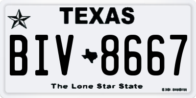 TX license plate BIV8667