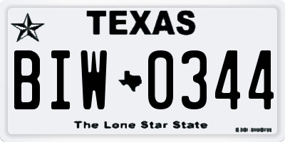 TX license plate BIW0344